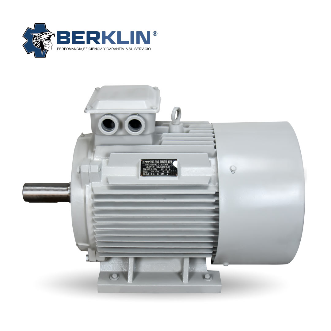 MOTOR ELECTRICO TRIFÁSICO 220V/380V/440V 50HP 1750RPM